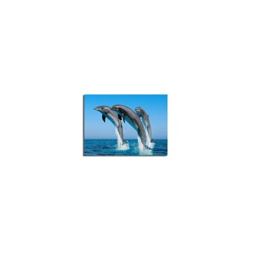 Wallxpert Dekorativna slika 3040C 28 Slike