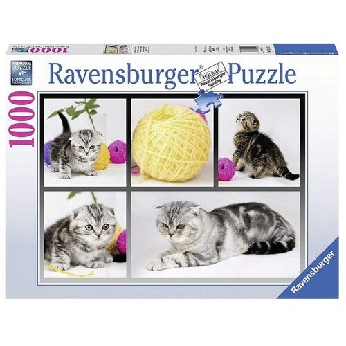 Ravensburger puzzle - znatiželjni mačići- 1000 delova Slike