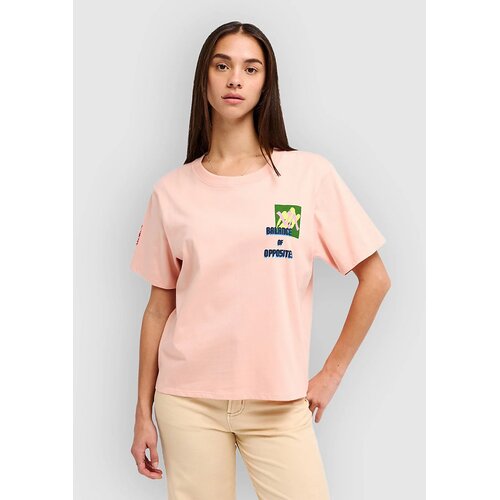 Rvca AF Love Birds Easy T-shirt dusty pink Cene