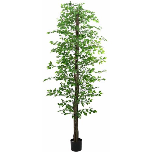  Umjetna biljka ficus 2016 Listovi 300 cm zeleni Cijene