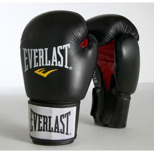 Everlast 200000173423 Cene