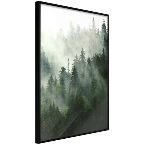  Poster - Steaming Forest 40x60 Cijene