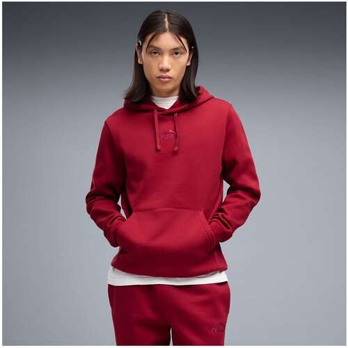 Puma Flis Ess Small No.1 Logo Centered Hoodie Fl Rdeča Slike