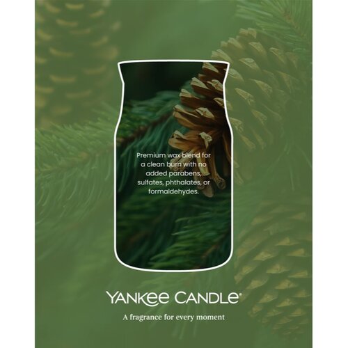 Yankee Candle Balsam &amp;amp; Cedar Fireside mala mirisna svijeća bez staklene posude 37 g Slike