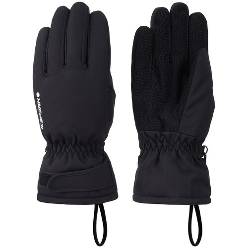 Icepeak ski rukavice 5 prstiju 252850553I HAYDEN JR 252850553I U crna M Slike