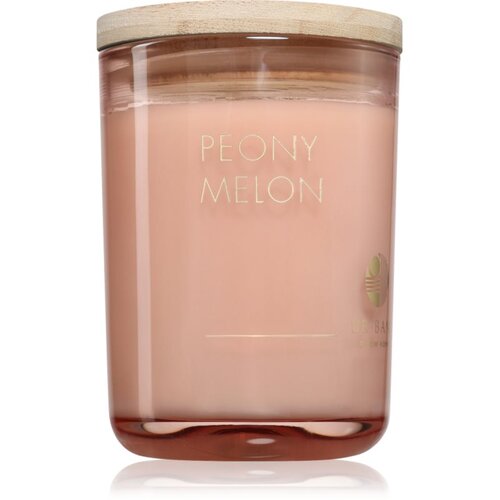 DW Home Ur&bull;Bane Peony Melon mirisna svijeća 215 g Cijene