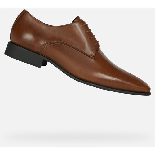 Geox Dark brown men&amp;#039;s formal shoes High Life - Men Slike