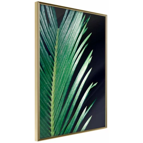  Poster - Soothing Green 40x60