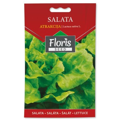 Floris seme povrće-salata atrakcija 15g FL Slike