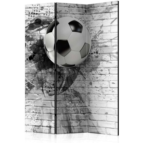  Paravan u 3 dijela - Dynamic Football [Room Dividers] 135x172 Cijene