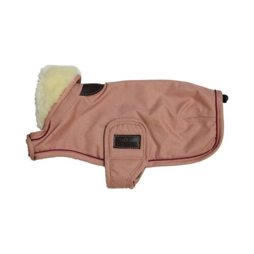 Kentucky Dogwear Vodoodporen pasji plašč 160g coral Cene
