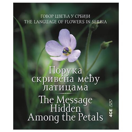 4SE Dubravka Savić - Poruka skrivena među laticama / The Message Hidden Among the Petals Cene