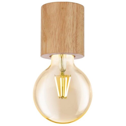 Eglo 99077 - plafonsko svetlo turialdo 1xE27/28W/230V Slike