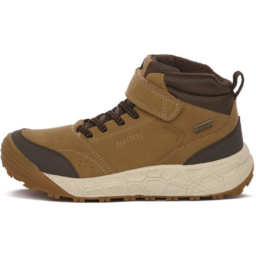Joma &Scaron;kornji 2624V CAMBA Kostanjeva Cene