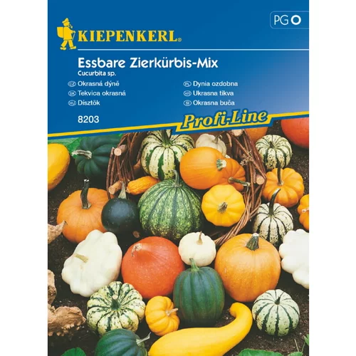 KIEPENKERL Užitna okrasna buča Kiepenkerl (Cucurbita sp.)