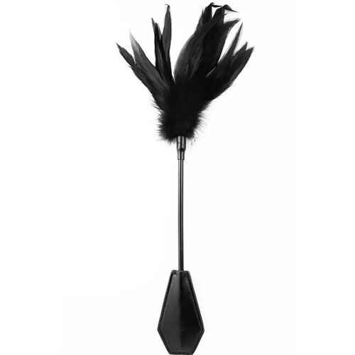  Udaraljka i golicaljka | Crop and Feather Tickler Cene