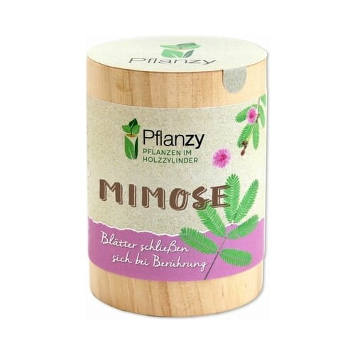 Feel Green Pflanzy "mimoza" Cene
