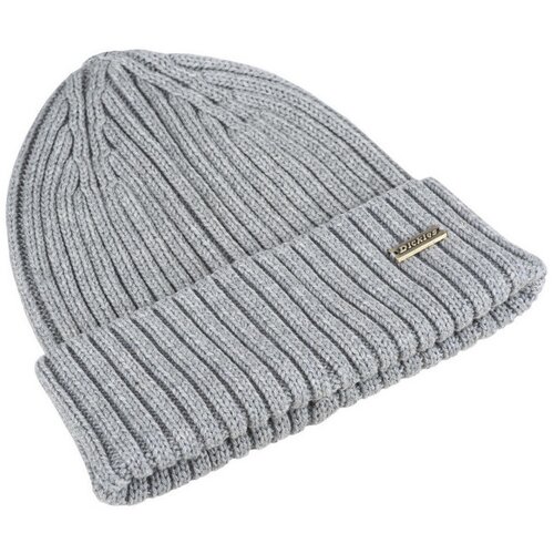 Dickies Kape Bronston Siva Cene