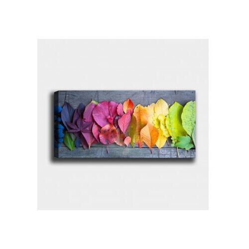 Wallxpert Slika na platnu Wally 30x80cm Slike