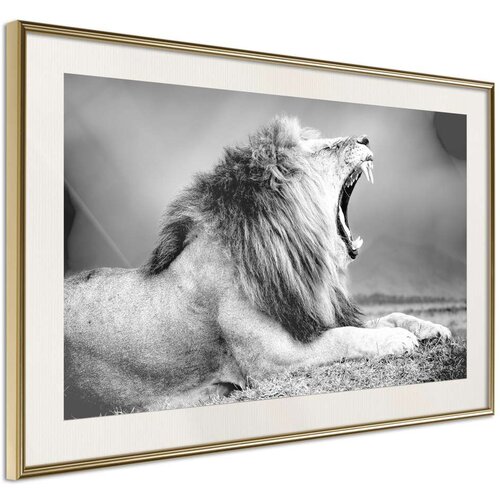  Poster - Yawning Lion 30x20 Slike