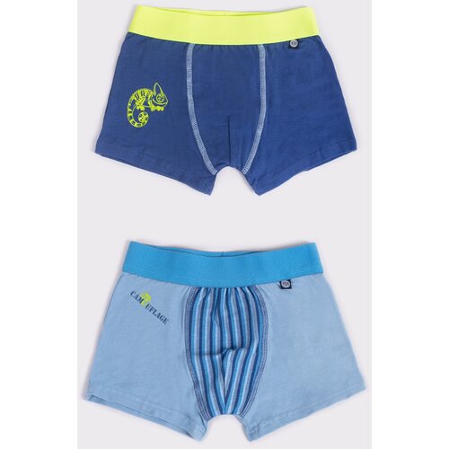 Yoclub Kids&amp;#039;s 2Pack Boy&amp;#039;s Boxer Briefs BMB-0013C-AA30 Slike