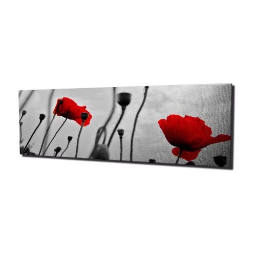 Wallxpert Dekorativna slika PC048 Slike