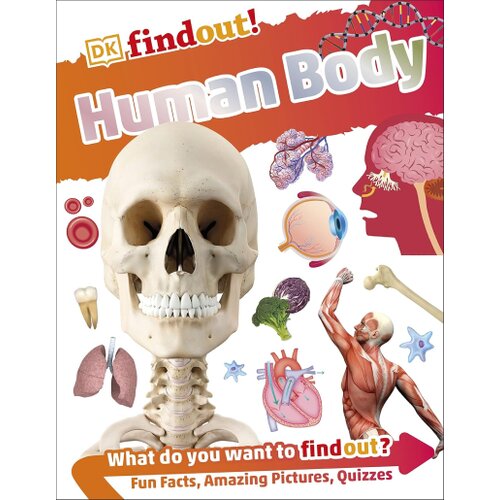 The Book Service Limited DK - DKfindout! Human Body Cene