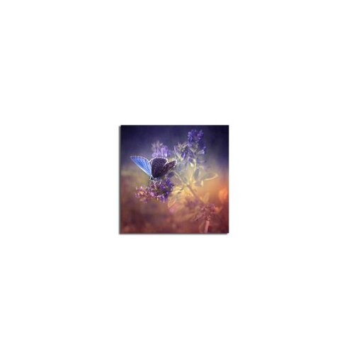 Wallxpert Multikolor slika na platnu 4545K-36 Slike