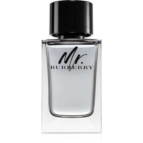 Burberry Mr. toaletna voda za muškarce 150 ml Cijene