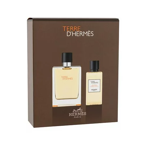 Hermes Terre d´Hermès darilni set toaletna voda 100 ml + gel za prhanje 80 ml za moške