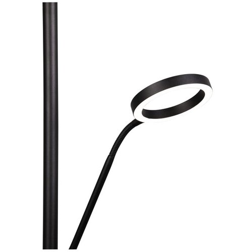  Črna LED stoječa svetilka (vi&amp;scaron;ina 180 cm) Willis &amp;ndash; Slike