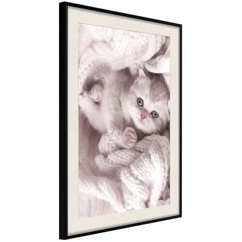  Poster - Tangled in Sweater 40x60 Slike