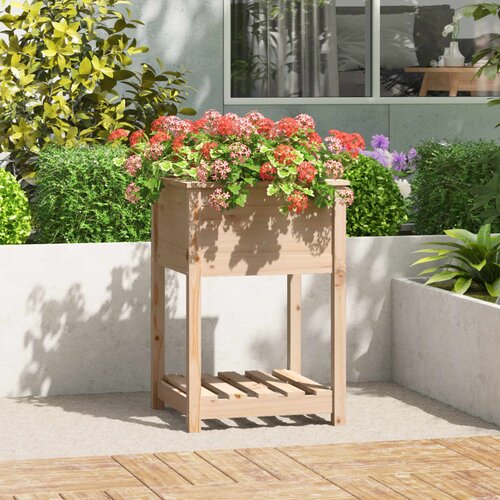 VidaXL Sadilica s policom 54x54x81 cm od masivne borovine Slike