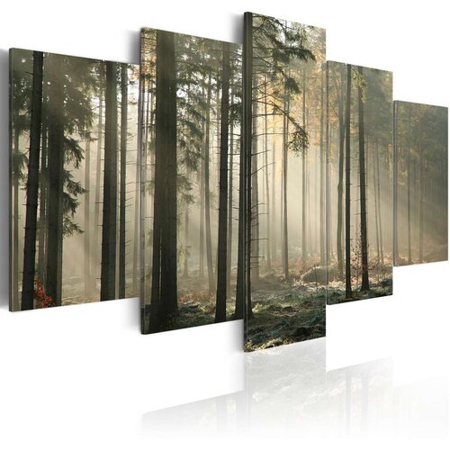  Slika - Light in a dark forest 100x50 Cijene