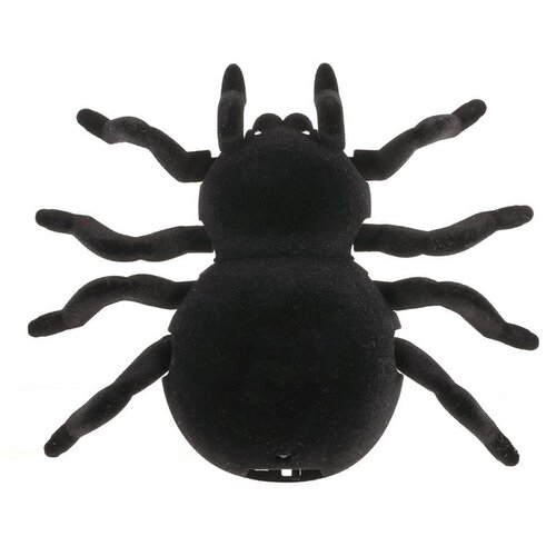  Tarantula na daljinski Slike