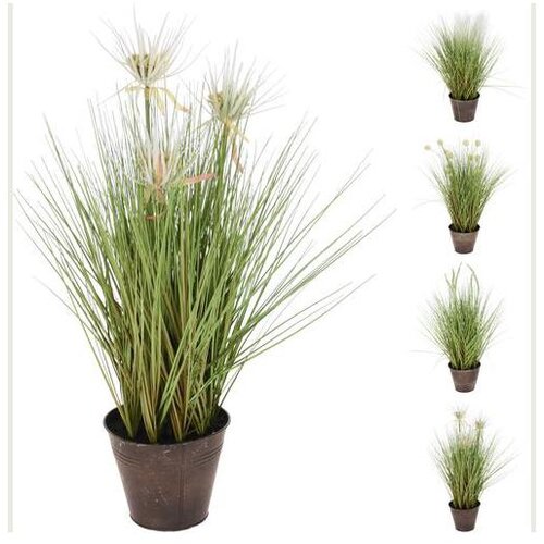  CVIJEĆE 60CM SORTO Slike