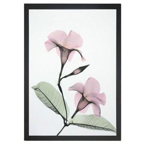 Tablo Center Slika Zelena veja, 24 x 29 cm Cene