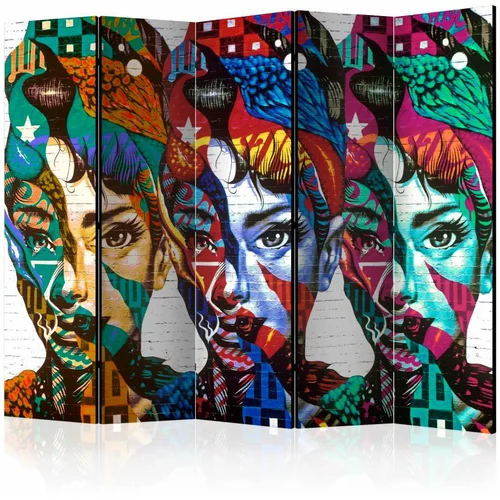  Paravan u 5 dijelova - Colorful Faces II [Room Dividers] 225x172