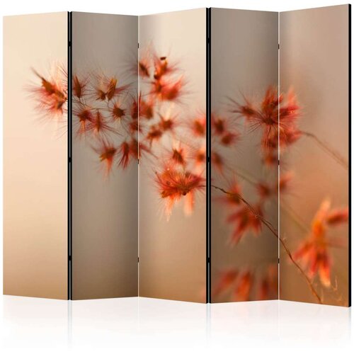  Paravan u 5 dijelova - Closer to nature II [Room Dividers] 225x172 Slike