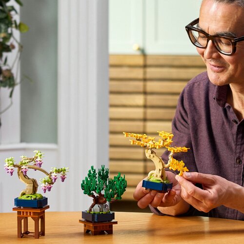 Lego Botanical Collection - Mini-bonsai drveće (10373) Slike