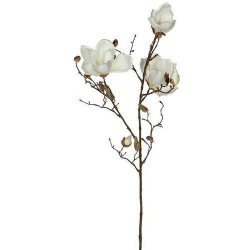  Umjetna biljka Magnolija (Visina: 88 cm, Blanca, Plastika) Cijene