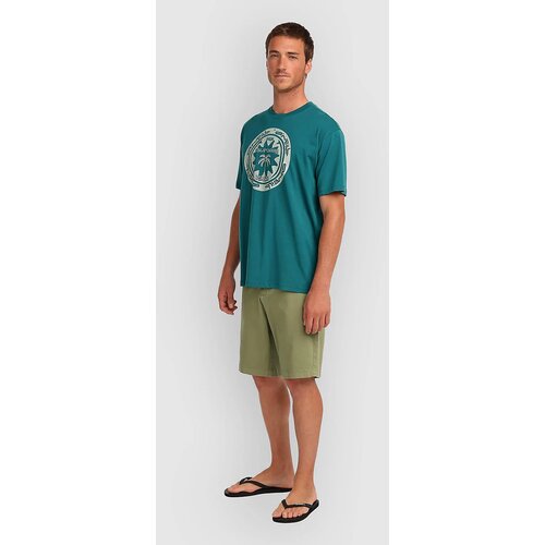 O'neill Essentials Chino Kratke hlace avery fern Cene