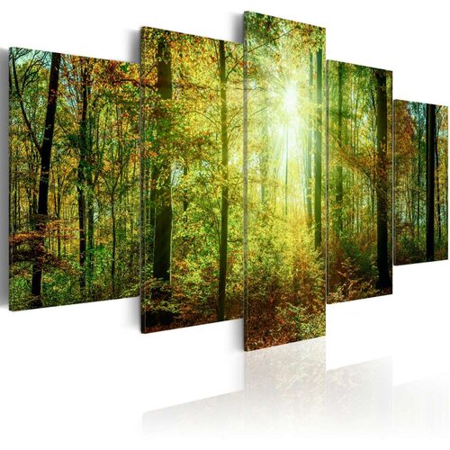  Slika - Wild Forest 200x100 Slike