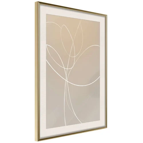  Poster - White Tulip 40x60