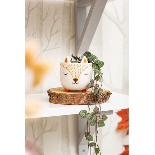 Sass &amp;amp; Belle Kamnit okrasni cvetlični lonec &amp;oslash; 7 cm Woodland Fox &amp;ndash; Slike