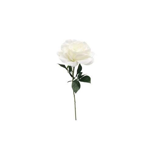 DEKOR DOM Cvet rose 1183181/1 - white - edl Cene