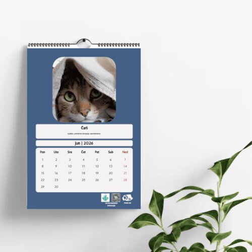  Pawz Zidni Kalendar 2026 Cene