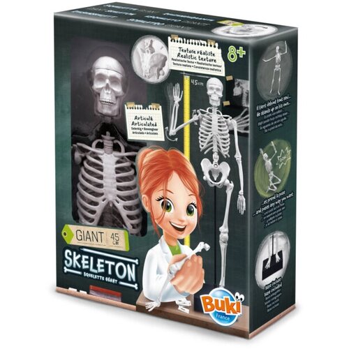 BUKI Skelet 104308 Slike