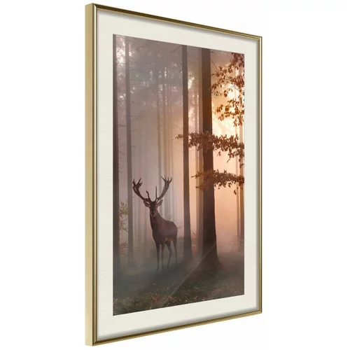  Poster - Forest Seclusion 20x30