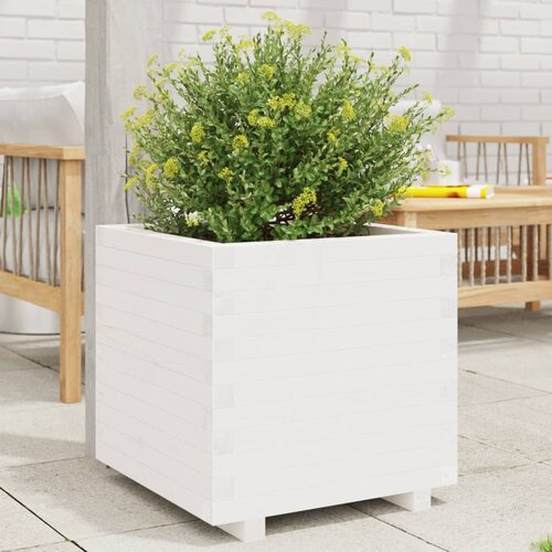 vidaXL Vrtna sadilica bijela 50 x 50 x 49,5 cm od masivne borovine Cijene